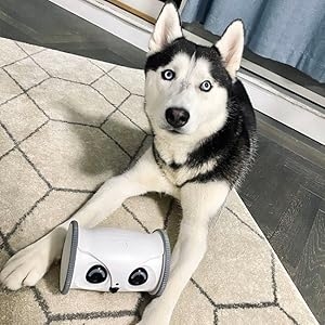  ربات پت | ربات نگهداری از پت دوربین دار برند skymee مدل Owl Robot 